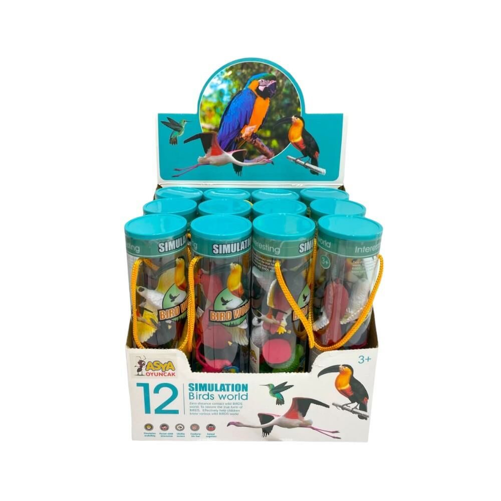 Silindir Kutulu Kuşlar