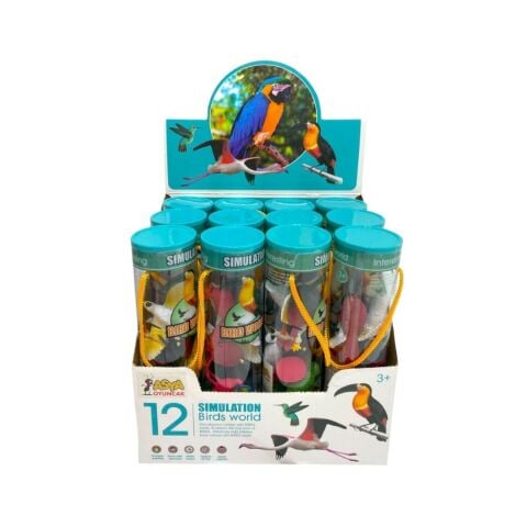 Silindir Kutulu Kuşlar