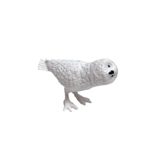 Silindir Kutulu Kuşlar