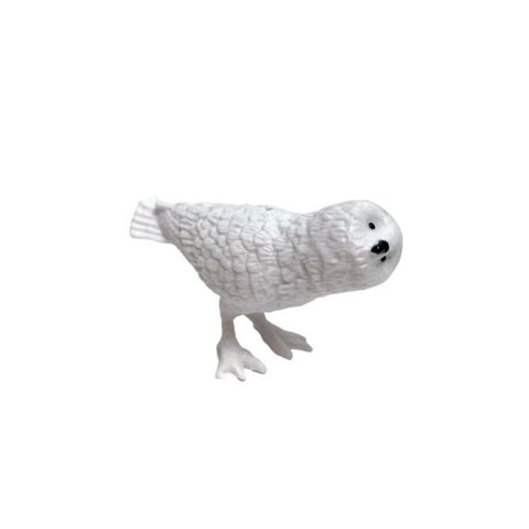 Silindir Kutulu Kuşlar