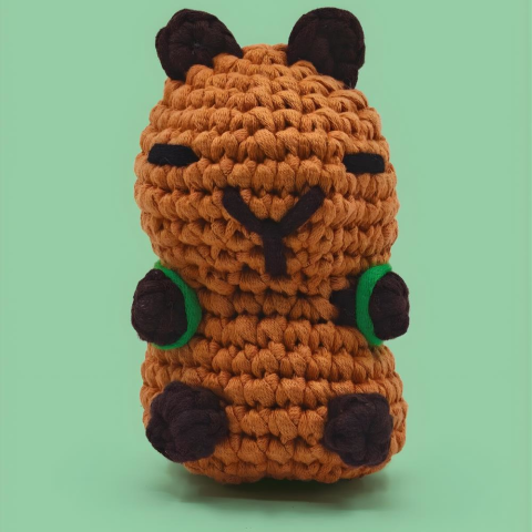 Kapibara Örgü İpi Seti