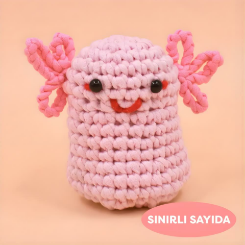 Aşkolot Örgü Öğrenme Seti