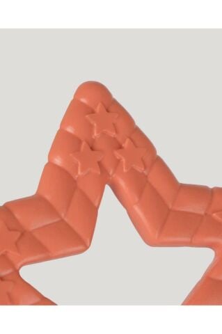 Diş Kaşıyıcı Turuncu Yıldız