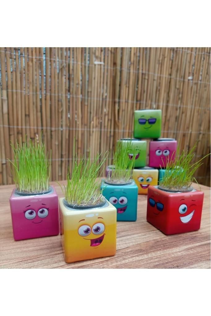 Emoji Figür Midi Küp Çim Adam Doğum Günü Ve Özel Günler Için