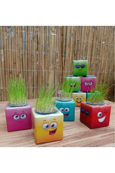 Emoji Figür Midi Küp Çim Adam 24 Adet Doğum Günü Ve Özel Günler Için