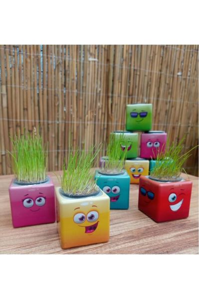 Emoji Figür Midi Küp Çim Adam 24 Adet Doğum Günü Ve Özel Günler Için