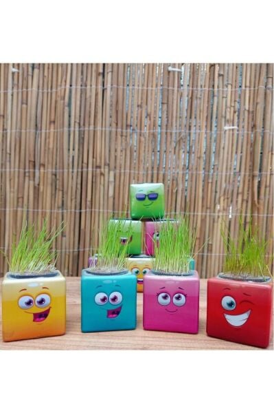 Emoji Figür Midi Küp Çim Adam 24 Adet Doğum Günü Ve Özel Günler Için