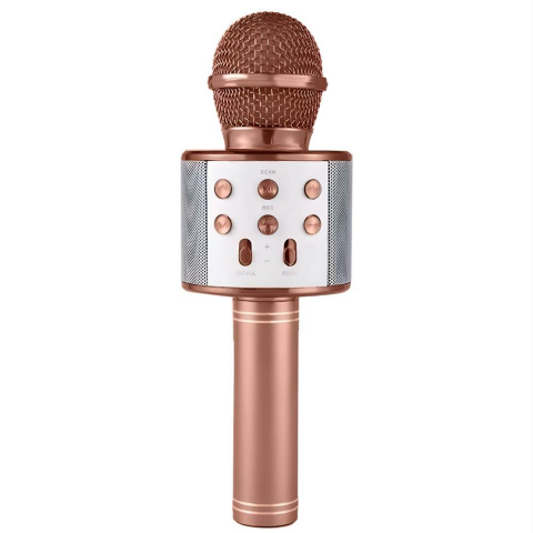 Subzero TV50 Türkçe Seslendirme Karaoke Mikrofon