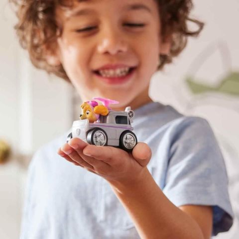 PAW Patrol Mini Pup Squad Yarışçıları Asorti