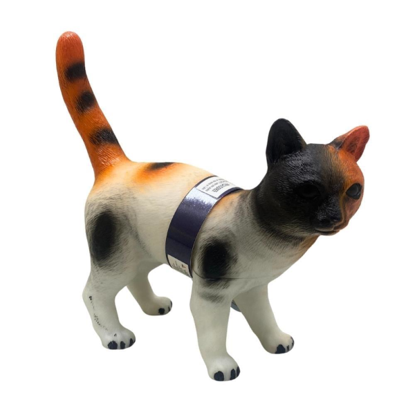 Kutulu Çiftlik Hayvanları