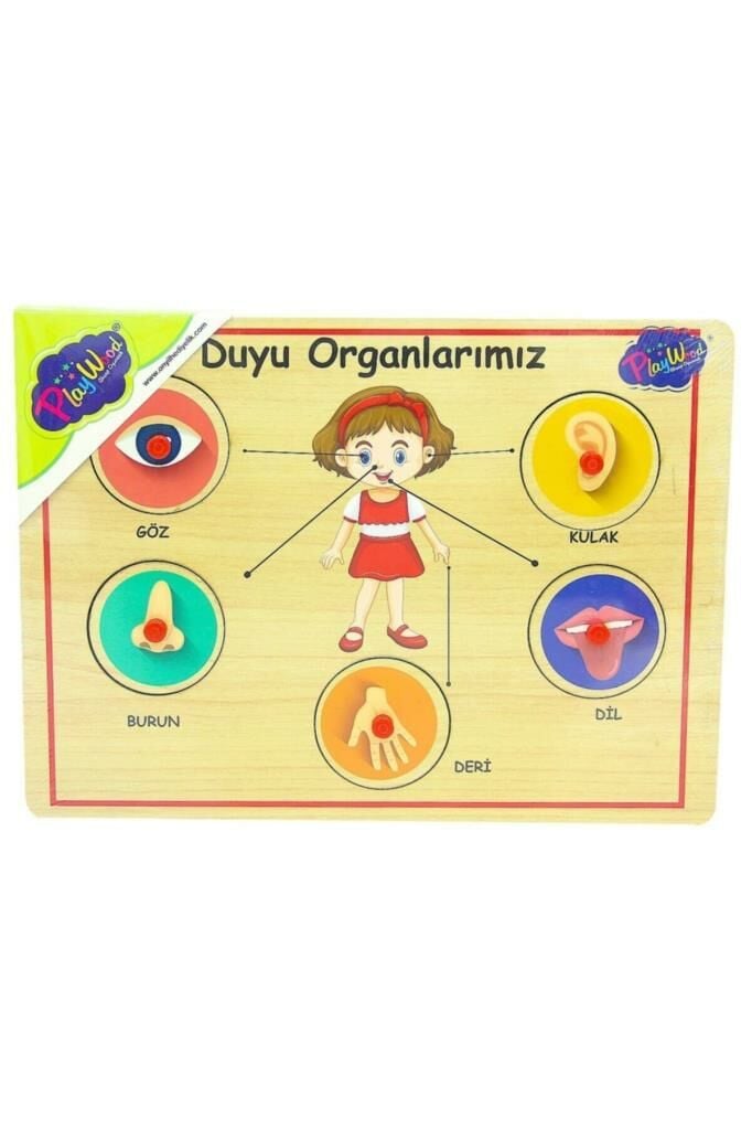 Ahşap Tutmalı Organlar Yapboz