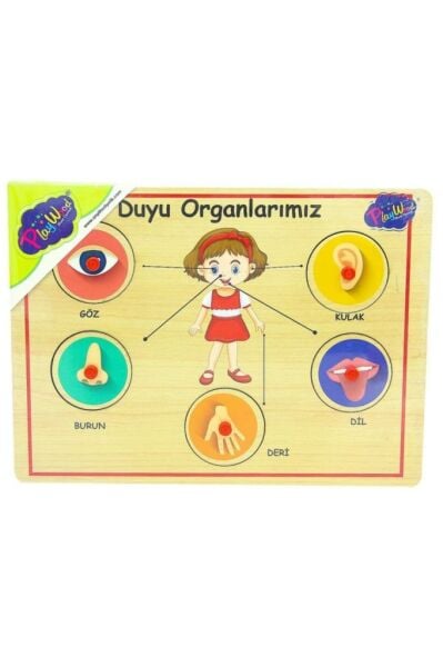 Ahşap Tutmalı Organlar Yapboz