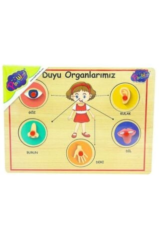 Ahşap Tutmalı Organlar Yapboz