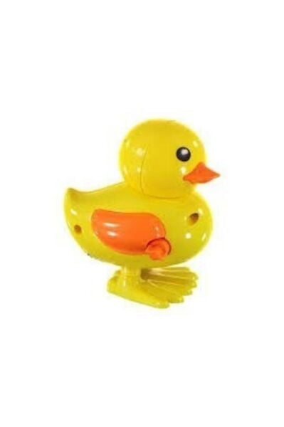 Birlik Kurmalıgiller Civciv