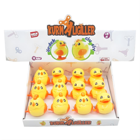 Kurmalıgiller Ördek