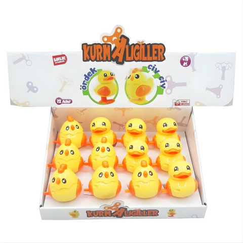 Kurmalıgiller Ördek