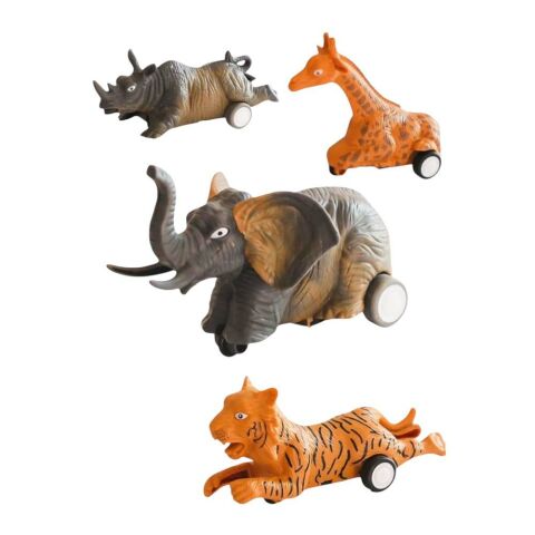 16 Displayde Pandalı Hayvanlar