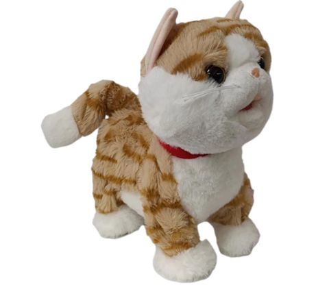 Kablolu Kumandalı Pilli Kedi