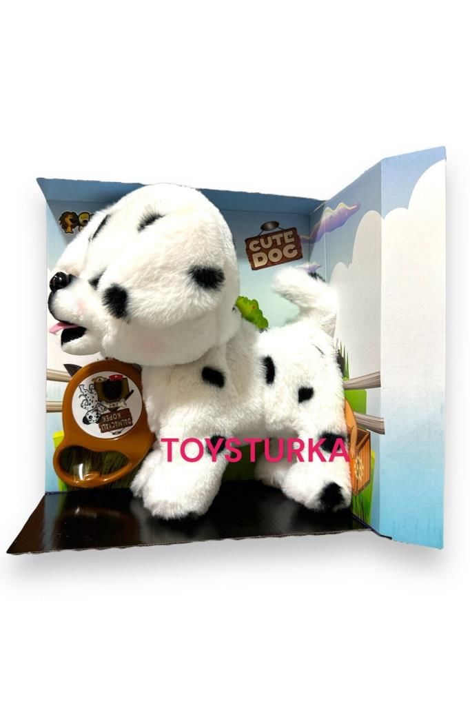 Pilli Sesli Tasmalı Yürüyen Sevimli Dalmaçyalı Köpek Tasmalı Köpek