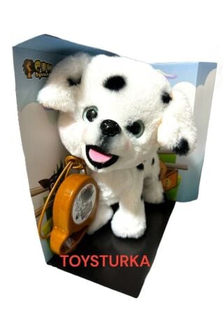 Pilli Sesli Tasmalı Yürüyen Sevimli Dalmaçyalı Köpek Tasmalı Köpek