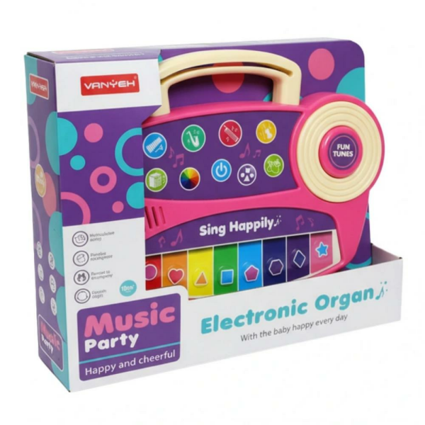 Kutulu Müzik Setli Org 24