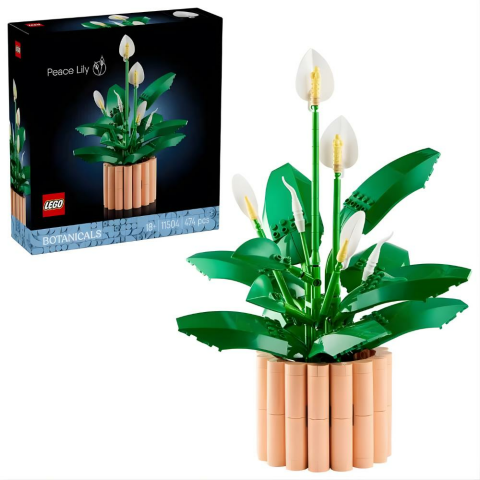 LEGO Botanicals Barış Çiçeği 11504