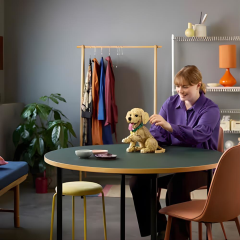 LEGO Icons Yavru Golden Retriever 11384