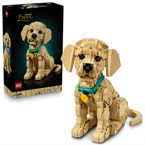 LEGO Icons Yavru Golden Retriever 11384