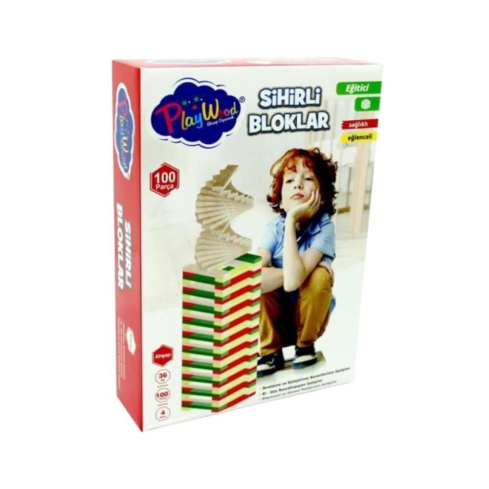 Playwood Eğitici Sihirli Bloklar 100 Parça