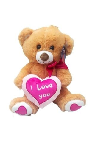 Kalp Tutan Ayı PL62583 35 Cm