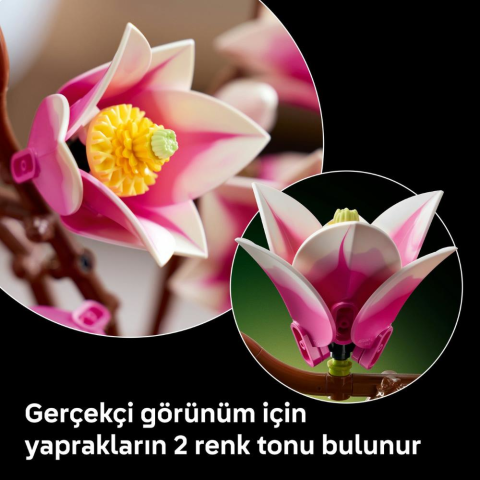 LEGO® Botanicals Manolya Dalları 11510