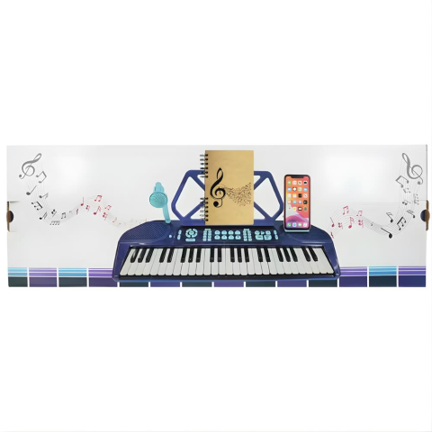 49 Tuşlu Mikrofonlu Elektronik Org