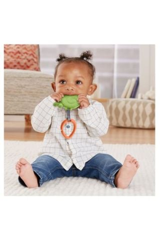 Fisher Price Dişlikler