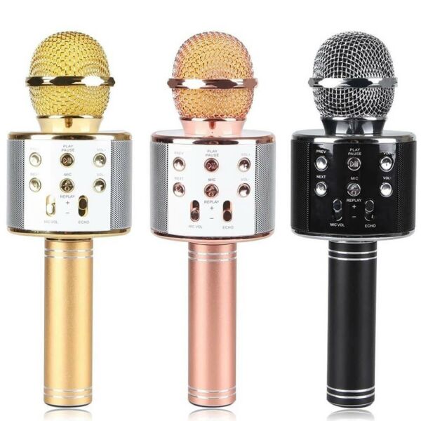 KARAOKE MİKROFON