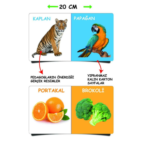 İlk Kütüphanem İlk Sözcükler 8'li Kitap Seti