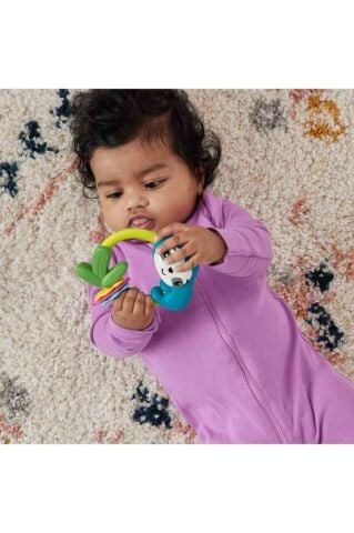 Fisher Price Eğlenceli Dostlar Makaralı Tembel Hayvan Hjw11-hkd70