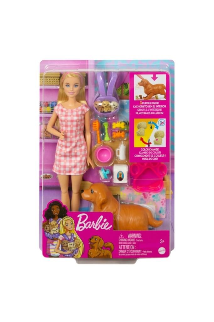 Barbie Ve Yeni Dogan Köpekler Oyun Seti Hck75
