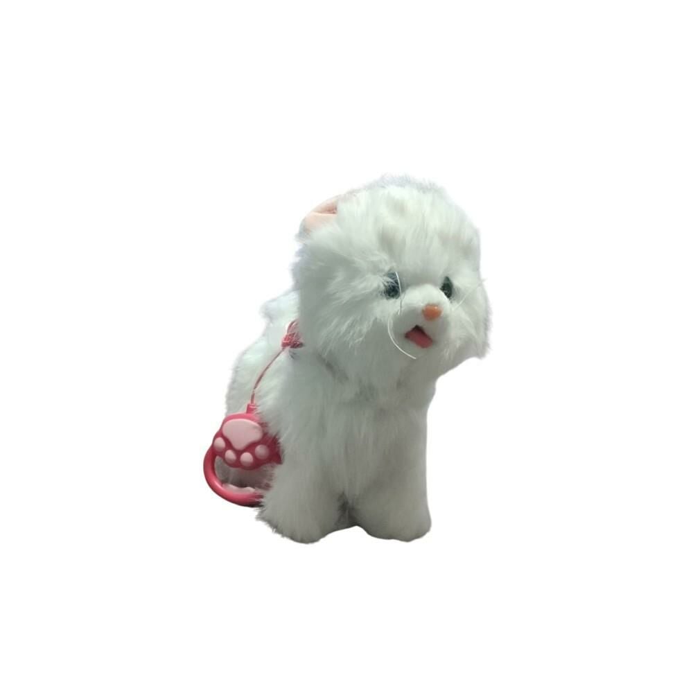 Pilli Kumandalı Kedi