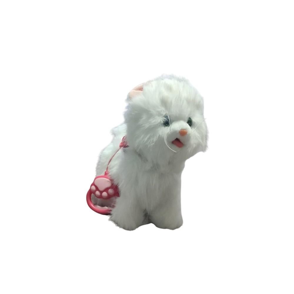 Pilli Kumandalı Kedi