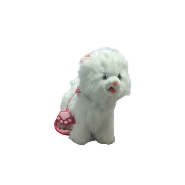 Pilli Kumandalı Kedi