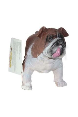 Soft Köpekler - E013