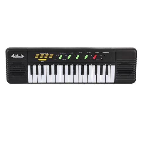 BY Kutulu Mikrofonlu Şarjlı Org