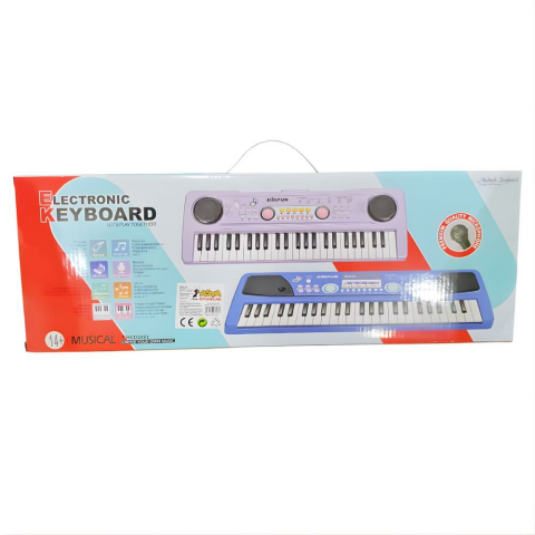 49 Tuşlu Mikrofonlu Org