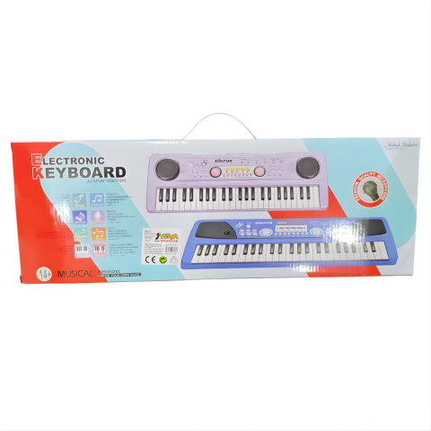 49 Tuşlu Mikrofonlu Org