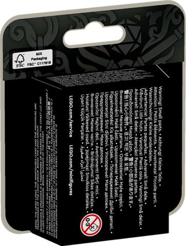 71047 LEGO® Minifigures Dungeons & Dragons®