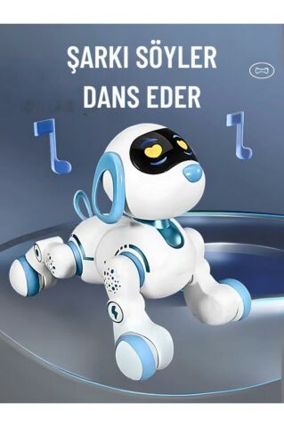 Uzaktan Kumandalı Çok Fonksiyonlı Akıllı Aktivite & Eğlence Robot Köpek