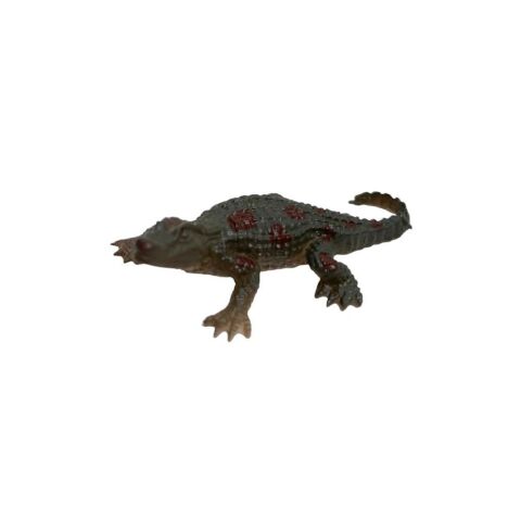 Silindir Vahşi Hayvanlar