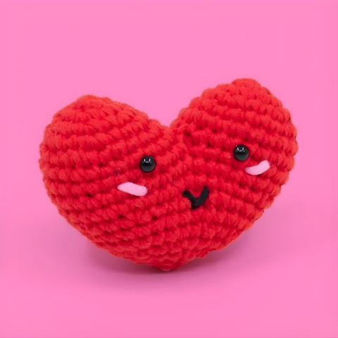 Caniko Örgü Öğrenme Seti