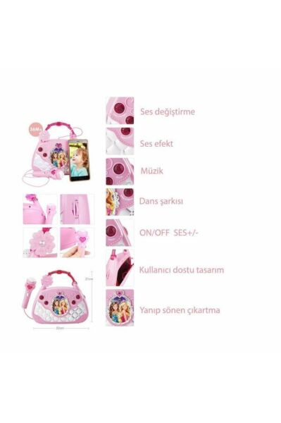 Mikrofonlu Mp3 Çalar Parti Müzikleri El Çantası