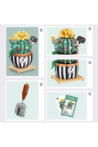 Loz 1246 Saksıda Çiçekli Kaktüs Seti Kutlama Hediyesi 721 Pcs